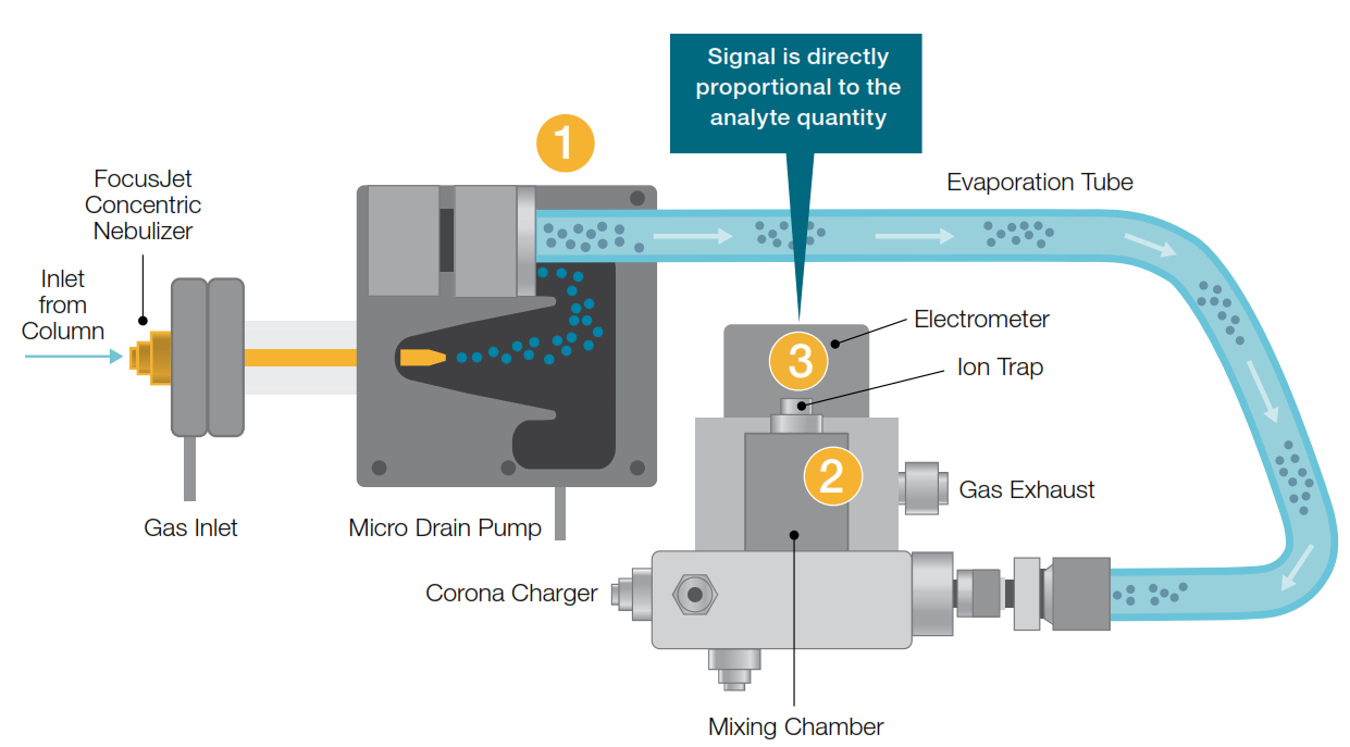 Schemat detektor CAD